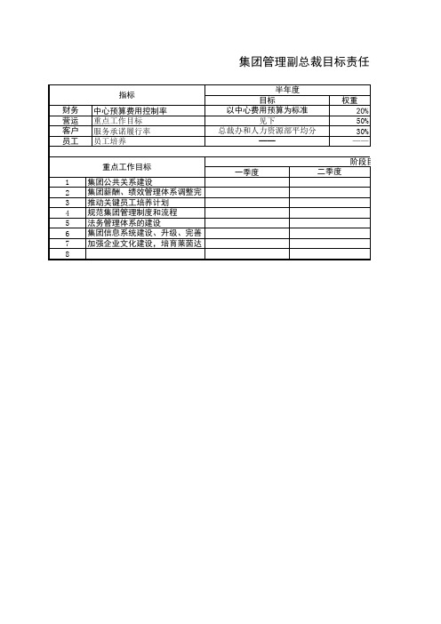 集团管理副总裁目标责任书