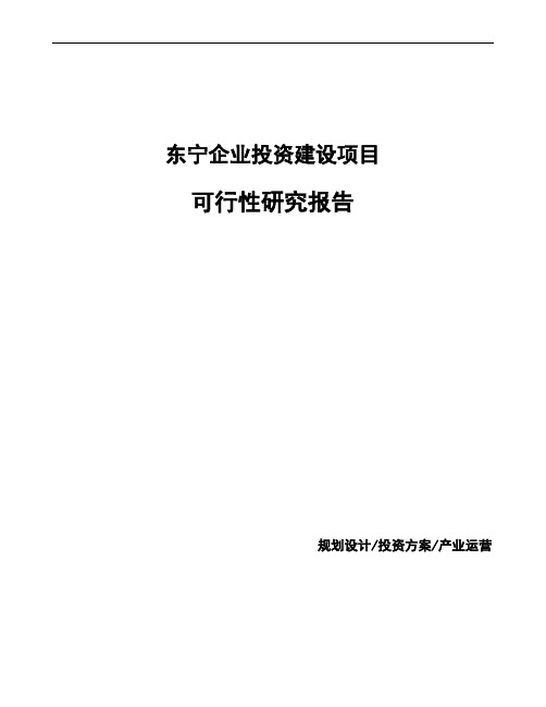 东宁项目可行性研究报告如何编写