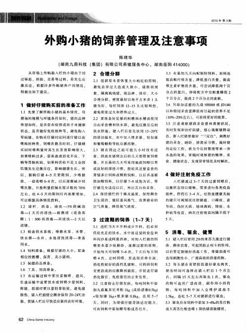 外购小猪的饲养管理及注意事项