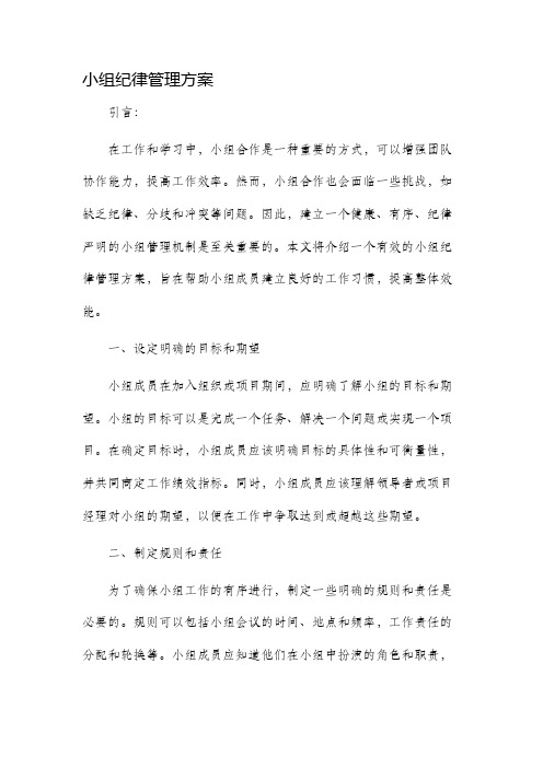 小组纪律管理方案