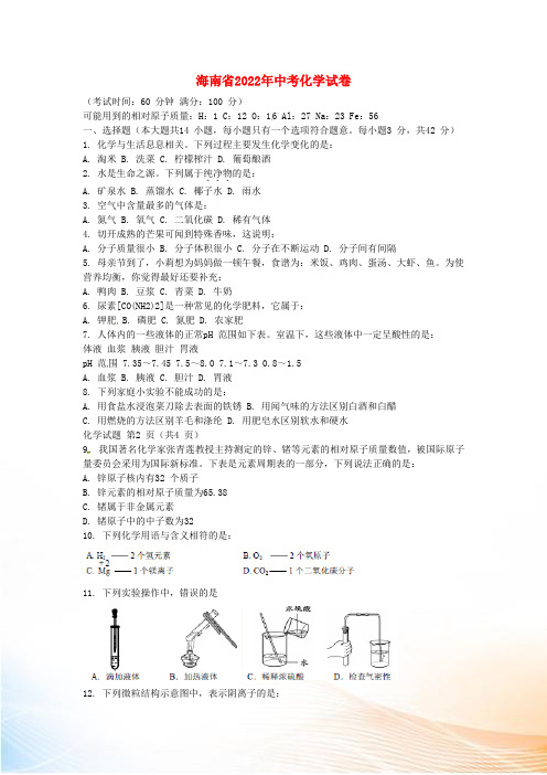 海南省2022年中考化学真题试题(含扫描答案)