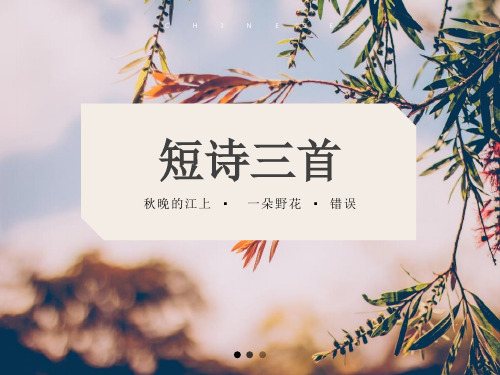 短诗三首课件PPT(秋晚的江上;-一朵野花;错误)