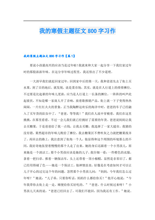 我的寒假主题征文800字习作