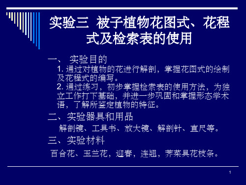 实验三 被子植物花程式、花图式及检索表的使用(课堂PPT)