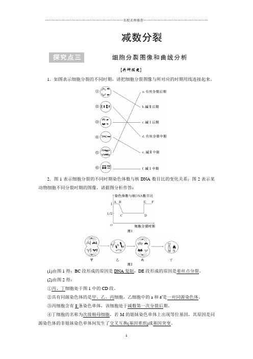 人教版高中生物必修2  减数分裂(第二课时) 名师制作优质学案