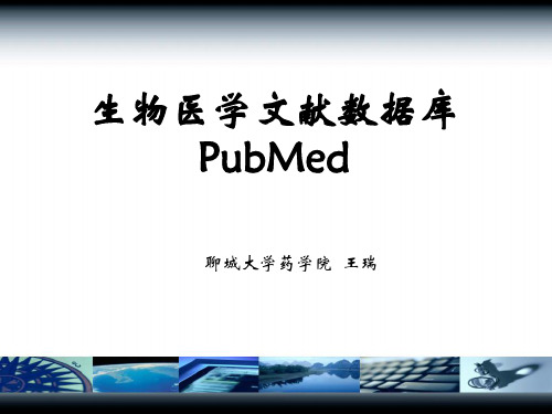 PubMed使用教程指南