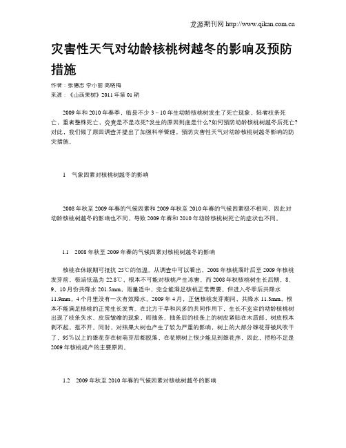 灾害性天气对幼龄核桃树越冬的影响及预防措施