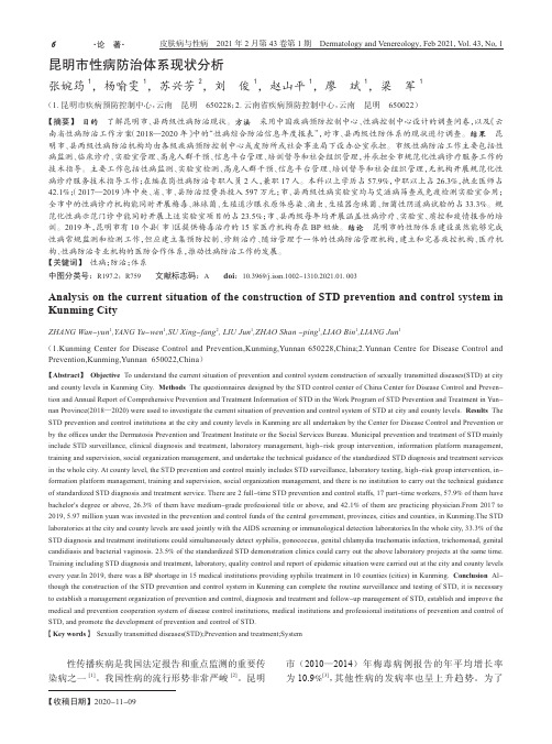 昆明市性病防治体系现状分析