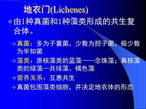 植物分类学--地衣