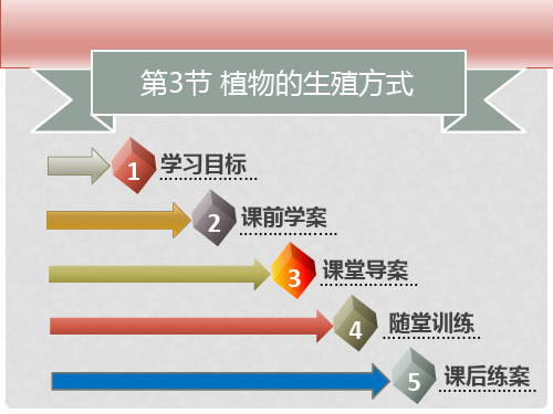 八年级生物上册 第六单元 第19章 第3节 植物的生殖方式习题课件 （新版）北师大版(1)