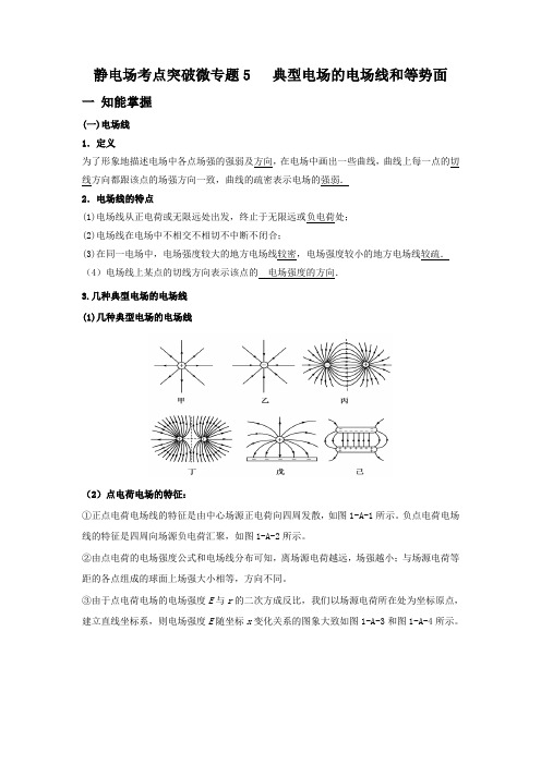 2021高考复习：静电场考点突破微专题5   典型电场的电场线 等势面