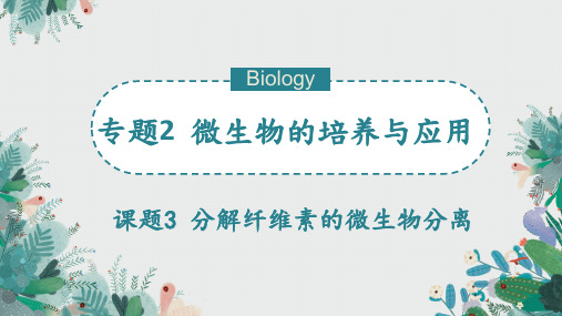 2.3分解纤维素的微生物的分离