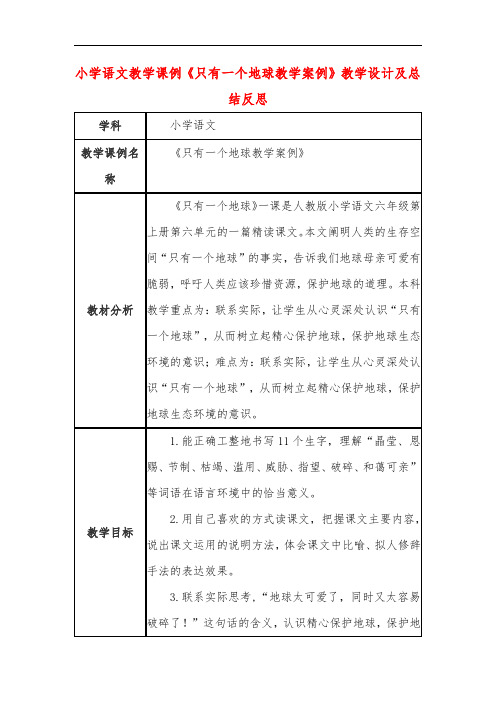 小学语文教学课例《只有一个地球教学案例》教学设计及总结反思