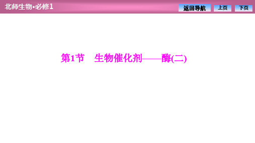 2019-2020学年北师大版高中生物必修1课件：第4章  第1节 生物催化剂——酶(二)