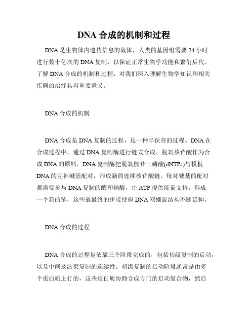 DNA合成的机制和过程