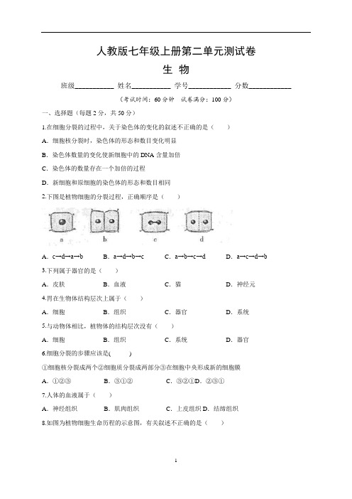 (人教版)七年级生物上册第二单元测试卷：第二章细胞怎样构成生物体  (含答案与解析)