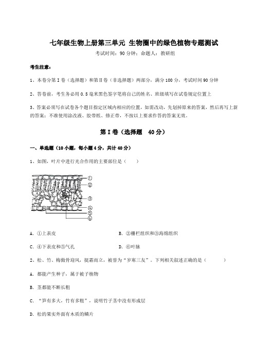 2022-2023学年人教版七年级生物上册第三单元 生物圈中的绿色植物专题测试试卷