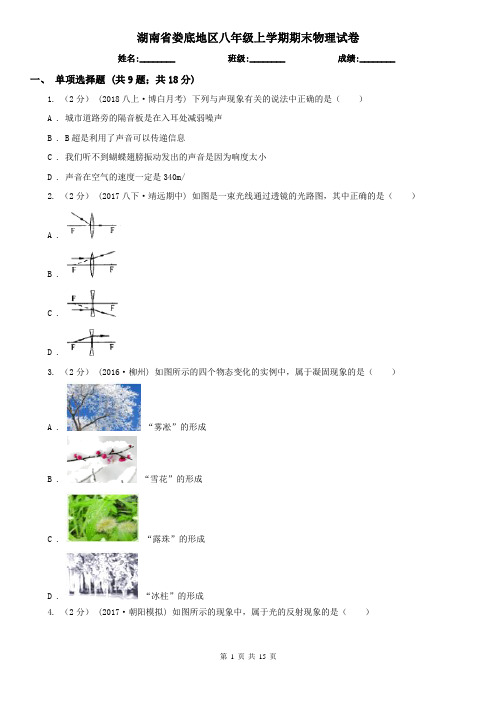 湖南省娄底地区八年级上学期期末物理试卷