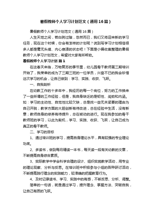 暑假教师个人学习计划范文（通用16篇）