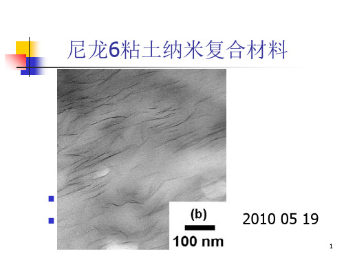 尼龙6纳米复合材料PPT课件