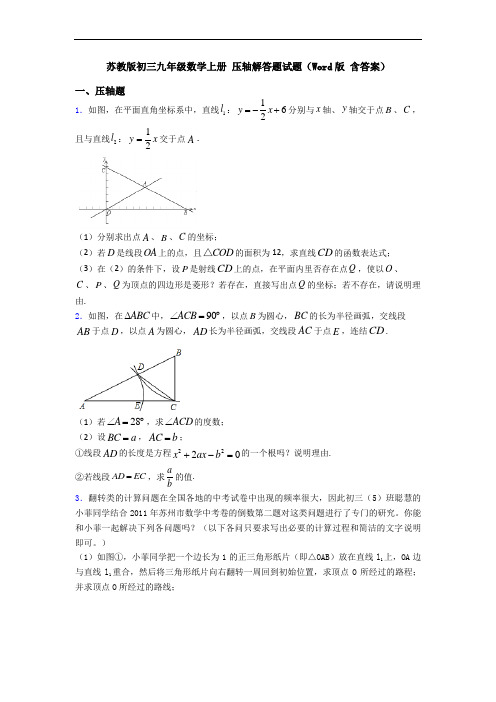 苏教版初三九年级数学上册 压轴解答题试题(Word版 含答案)