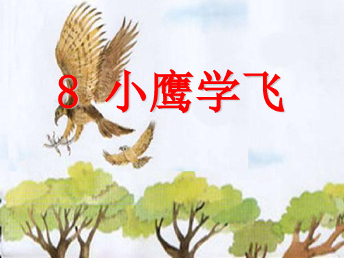 《小鹰学飞》课件3