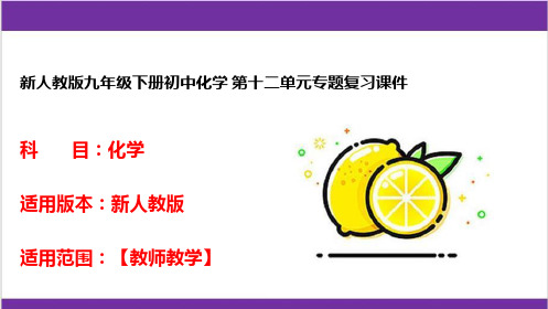 新人教版九年级下册初中化学 第十二单元专题复习课件