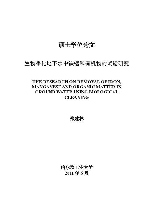 生物净化地下水中铁锰和有机物的试验研究