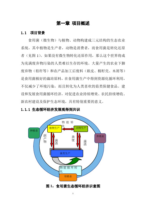 年工厂化栽培7000吨绿色食品金针菇项目-精品