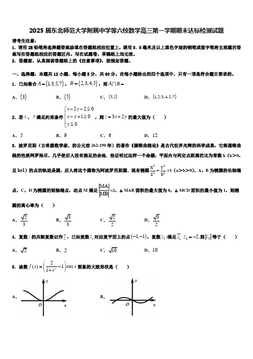 2025届东北师范大学附属中学等六校数学高三第一学期期末达标检测试题含解析