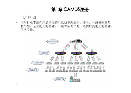 CAMDS填报指南