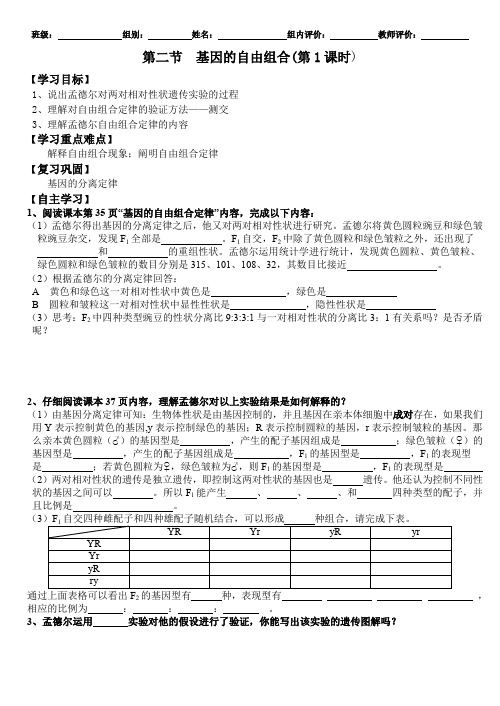 基因的自由组合定律导学案