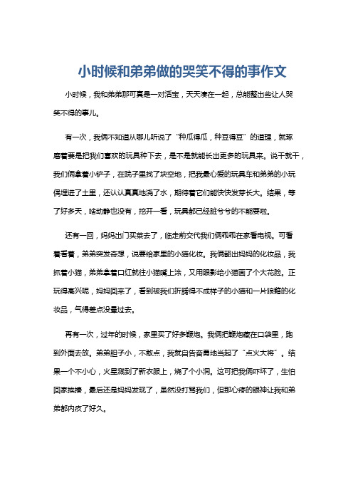 小时候和弟弟做的哭笑不得的事作文