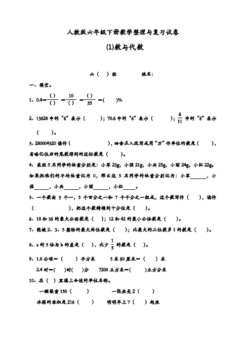 【精品】新人教版数学六年级下册《数与代数》练习题