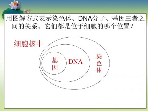 第三节-基因的显性和隐性-课件