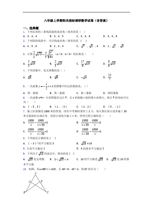 八年级上学期阳光指标调研数学试卷(含答案)