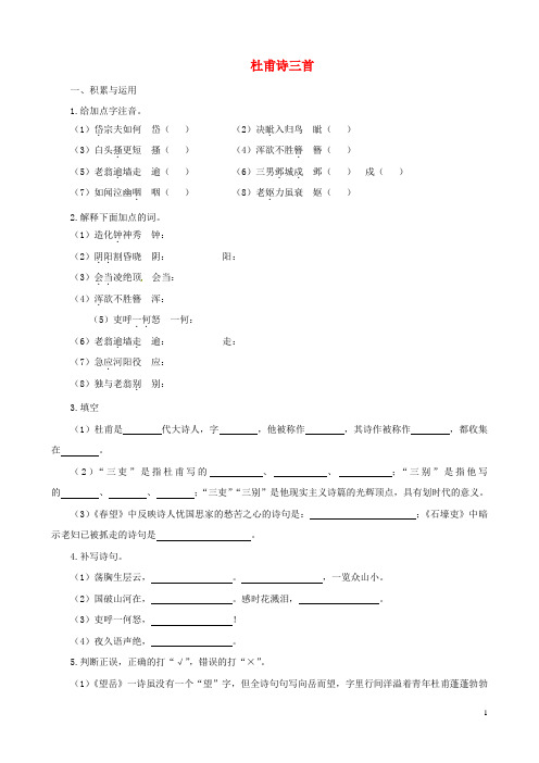 山东省聊城高县八年级语文上册 第25课 杜甫诗三首同步