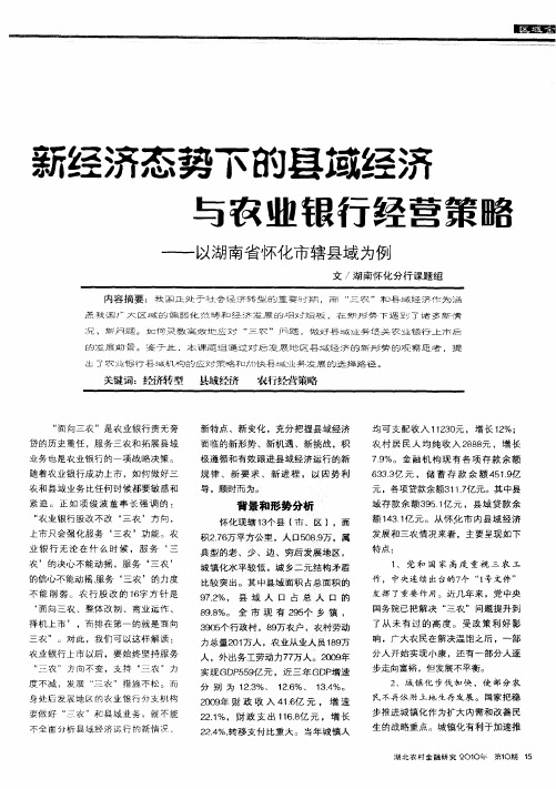 新经济态势下的县域经济与农业银行经营策略——以湖南省怀化市辖县域为例