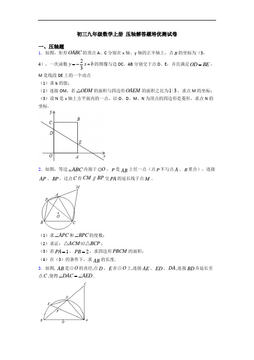 初三九年级数学上册 压轴解答题培优测试卷