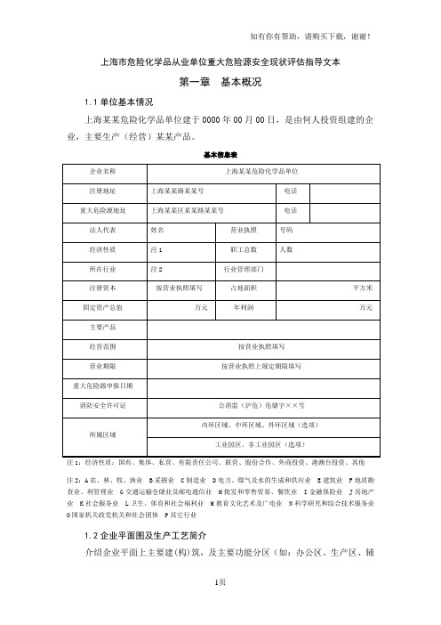 上海市危险化学品从业单位重大危险源安全现状评估指导文本