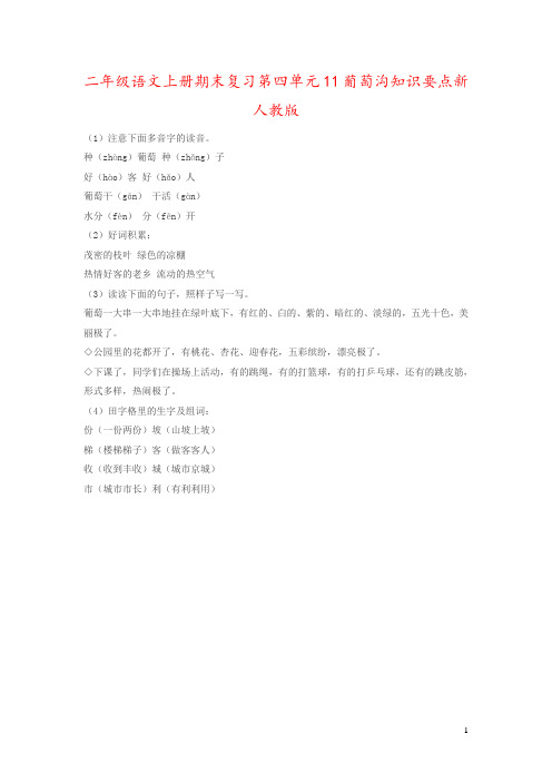 二年级语文上册期末复习第四单元11葡萄沟知识要点新人教版