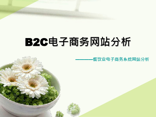 B2C电子商务网站分析