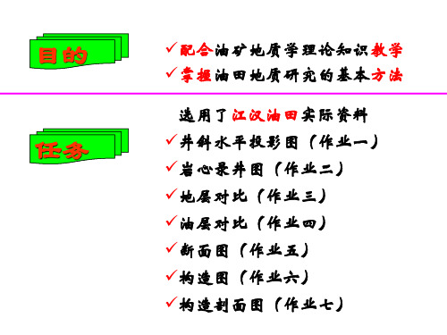 油矿地质学课内作业解剖