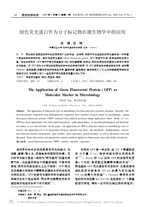 绿色荧光蛋白作为分子标记物在微生物学中的应用