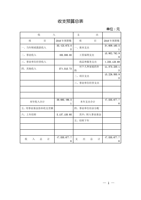 收支预算总表