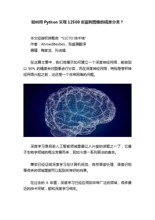 如何用Python实现12500张猫狗图像的精准分类？