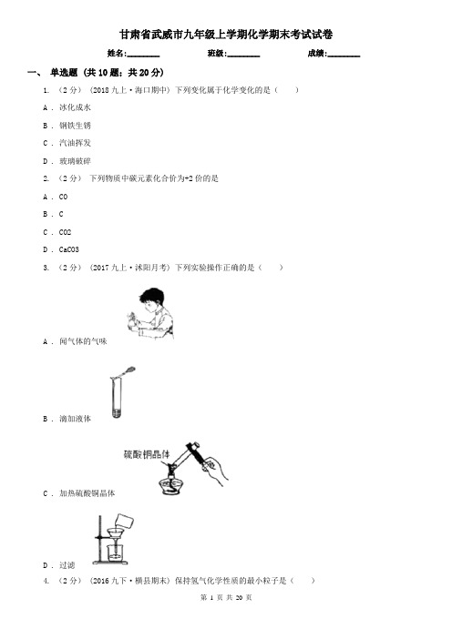 甘肃省武威市九年级上学期化学期末考试试卷