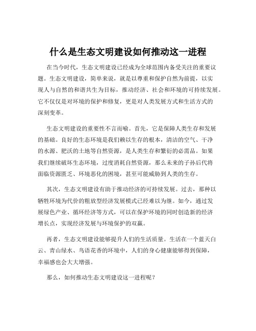 什么是生态文明建设如何推动这一进程