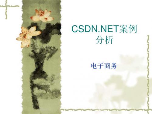 CSDN专业网站中国软件开发联盟案例分析