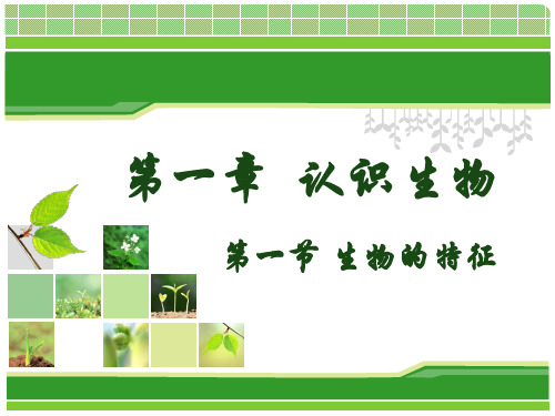 人教版七年级生物上册第一单元第一章 第一节生物的特征(共33张PPT)